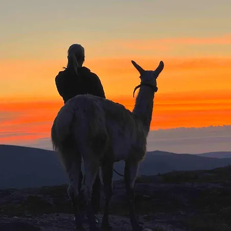 Hessdalen Ufocamp Homestay