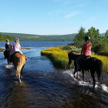 בית אירוח Hessdalen Ufocamp